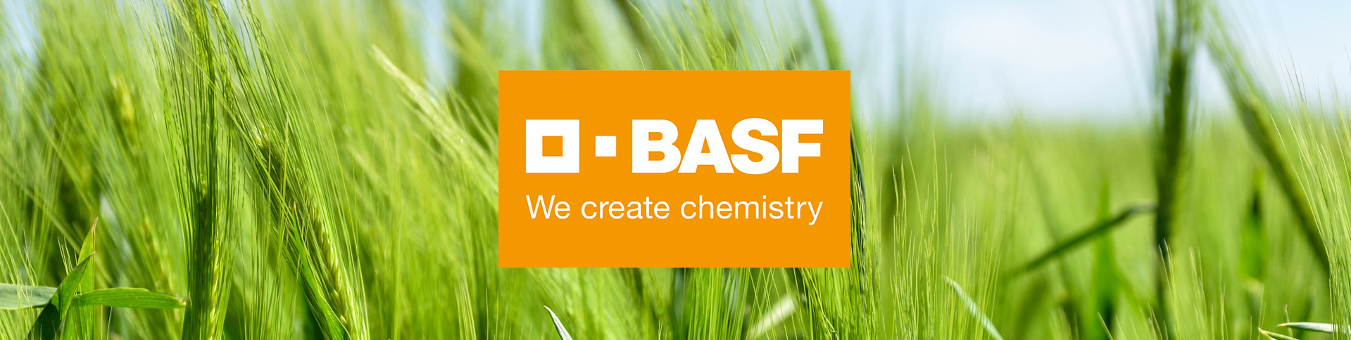 З висоти пташиного польоту: корпоративний мерч