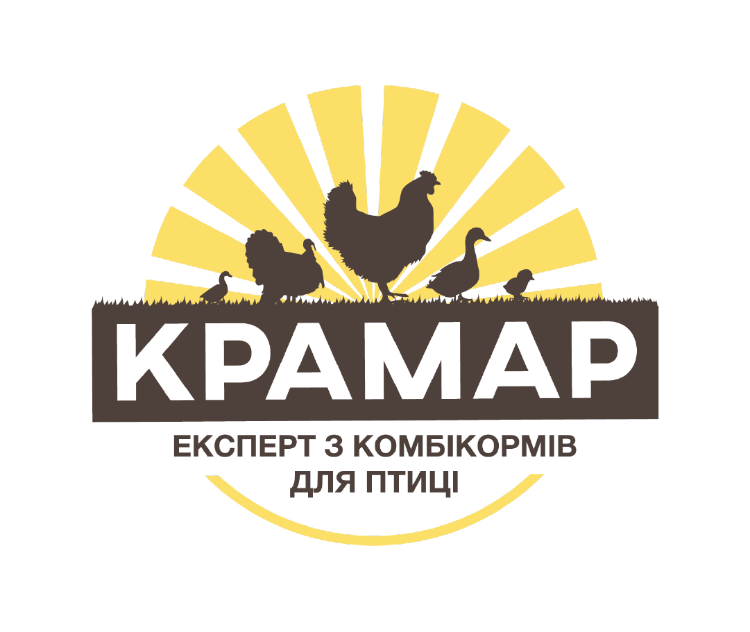 З нашим маркетингом курочки ЗДОРОВІ! Та здорові