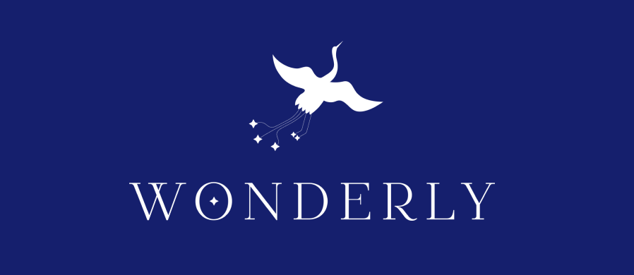 Створили  бренд для дітей — WONDERLY